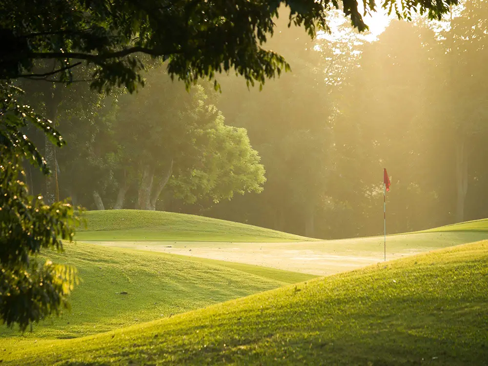 Golf Green with flag in morning sunshine. Misty. Lush foliage. You landed short, just choke up on a 5 iron.
